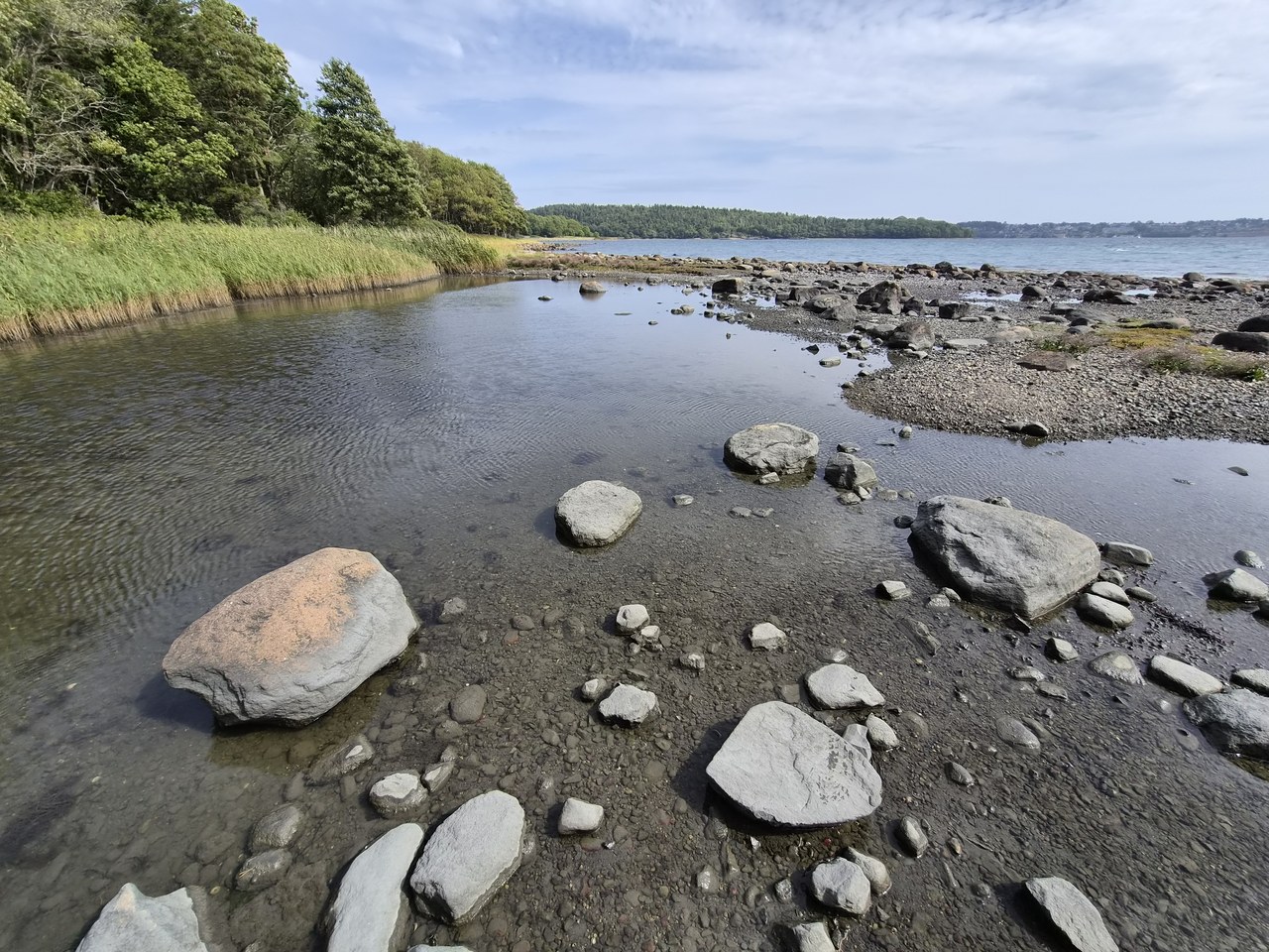 A rocky shoreline at Jeløy leading out into the fjord, stones scattered across the shallow water